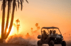 Buggy Activities