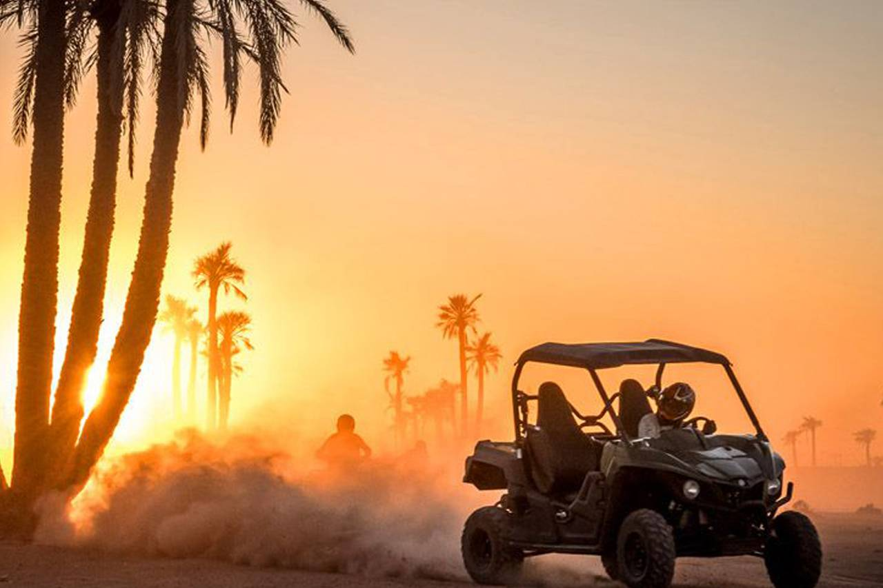 Buggy Activities
